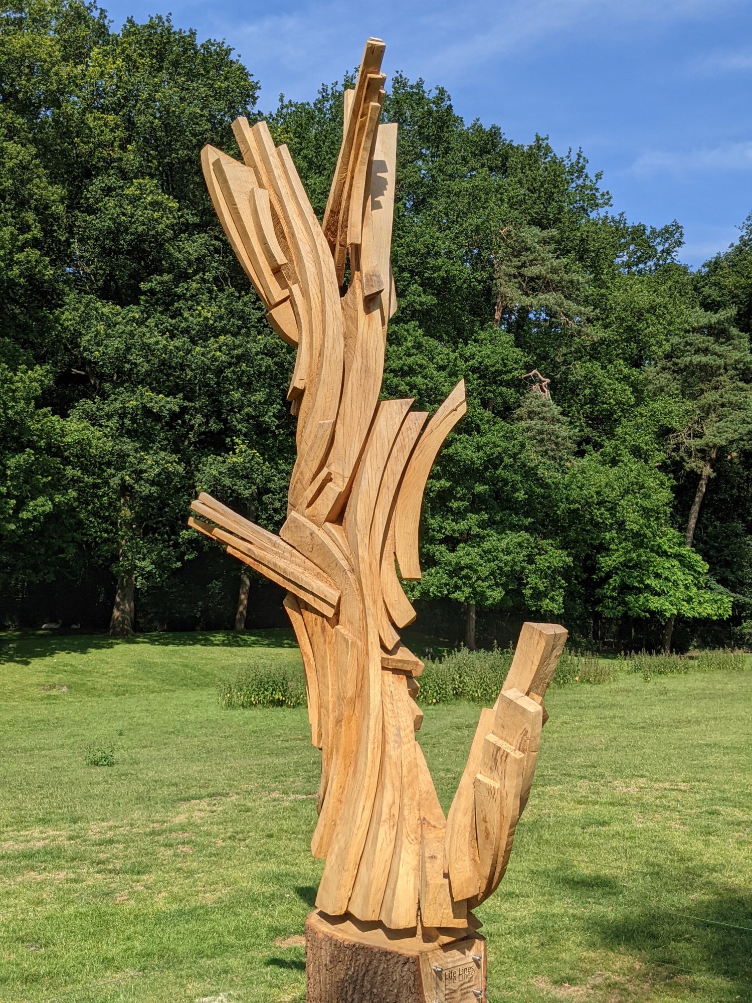 Boomzaagkunst Life Lines No v2. 5 jeroenBo 1