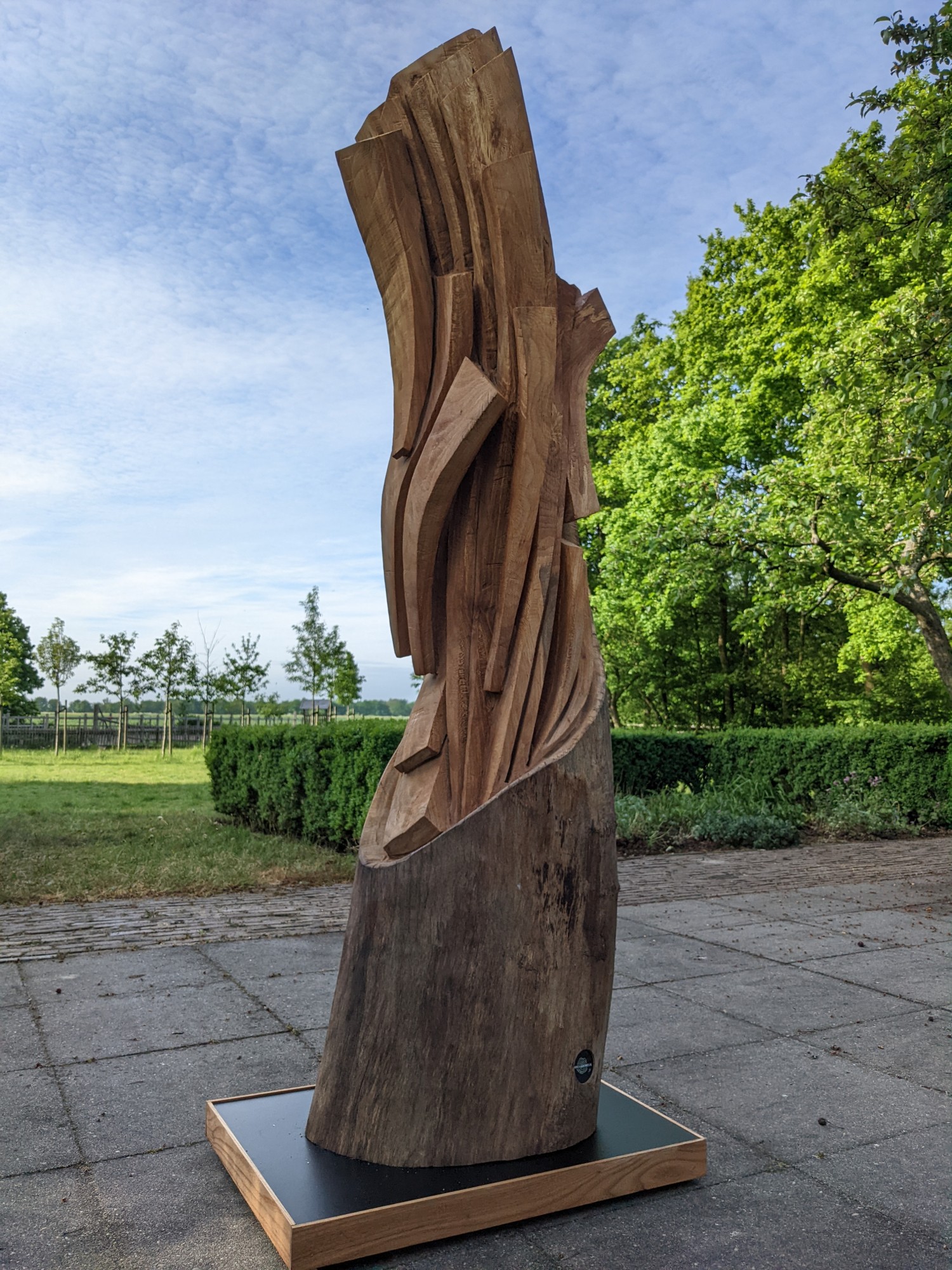 Boomzaagkunst Life Lines No. 6 jeroenBo 1