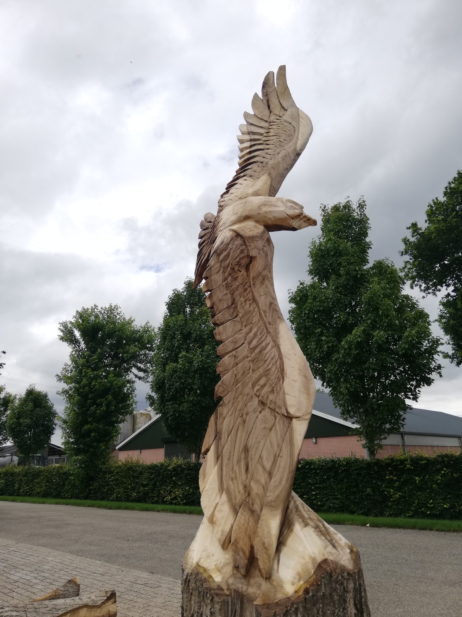 boomzaagkunst vogels vliegende arend jeroenbo
