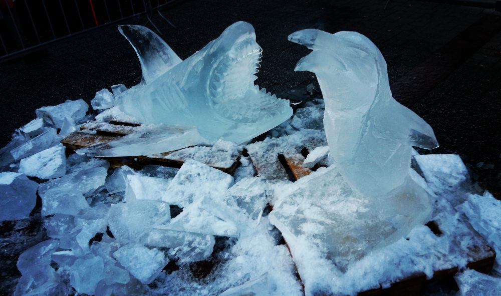 Ice Carving Haai, Jeroen Boersma